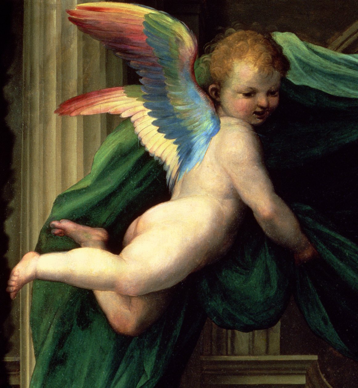 St. Katarina av Sienas mystiska äktenskap med heliga, detalj av en ängel, 1511 olja på paneldetalj av 93870 av Fra Bartolommeo