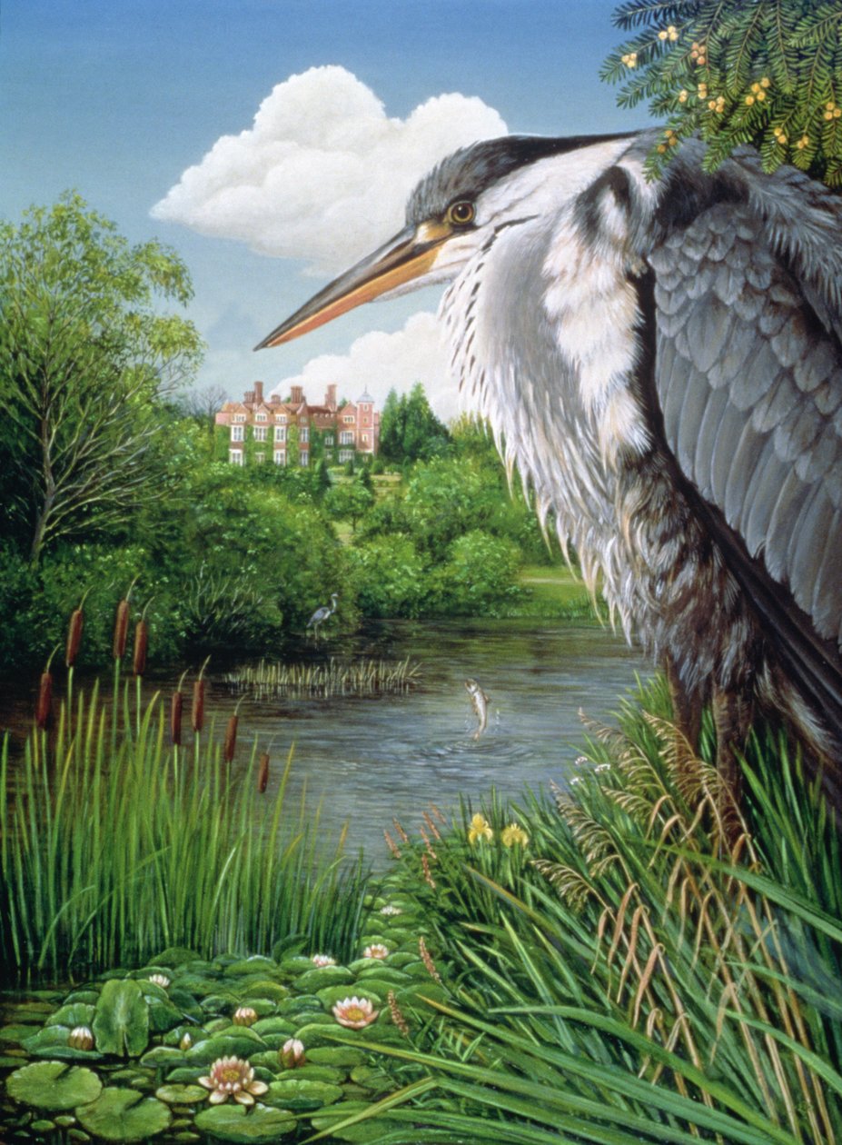 Häger i Chilham, 1986 (olja och tempera på panel) av Frances Broomfield