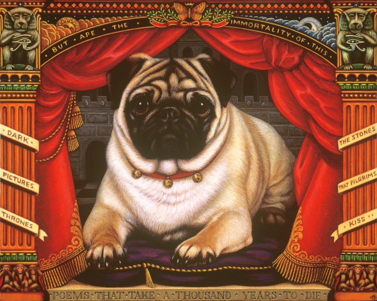 Nabokovs Pug, 2006 (olja och tempera på panel) av Frances Broomfield