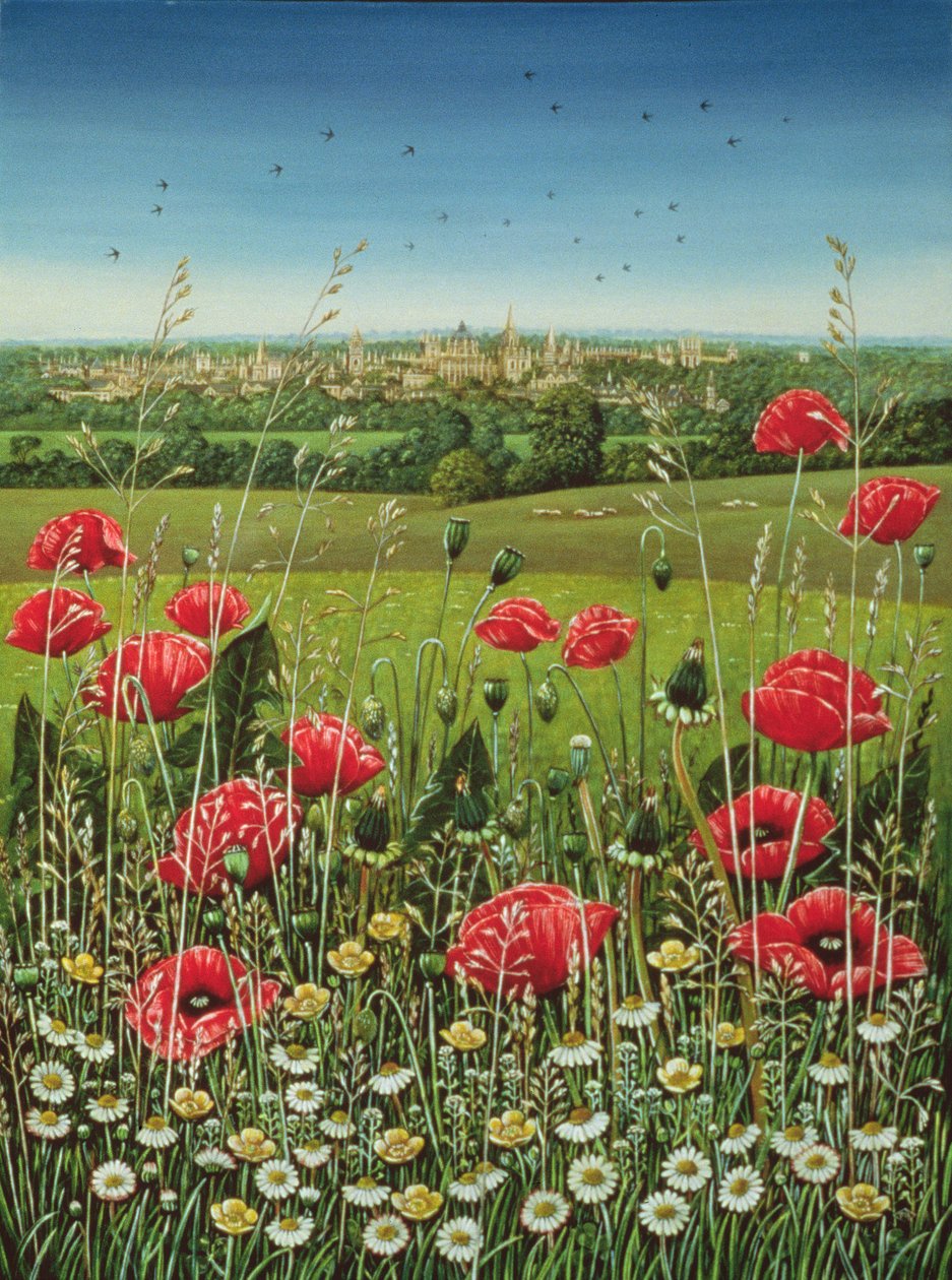Oxford Poppies, 1983 (olja och tempera på panel) av Frances Broomfield
