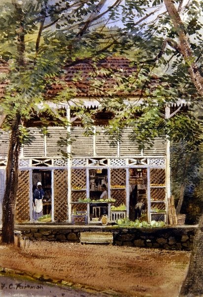 Brittiska Västindien (akvarell på papper) av Frances C. Fairman