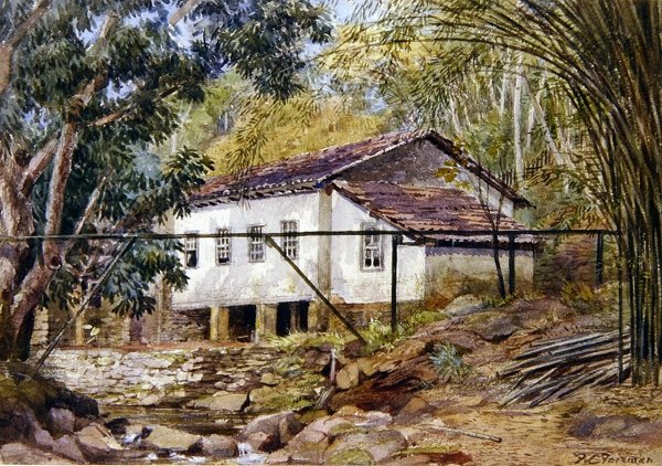 Brittiska Västindien (akvarell på papper) av Frances C. Fairman