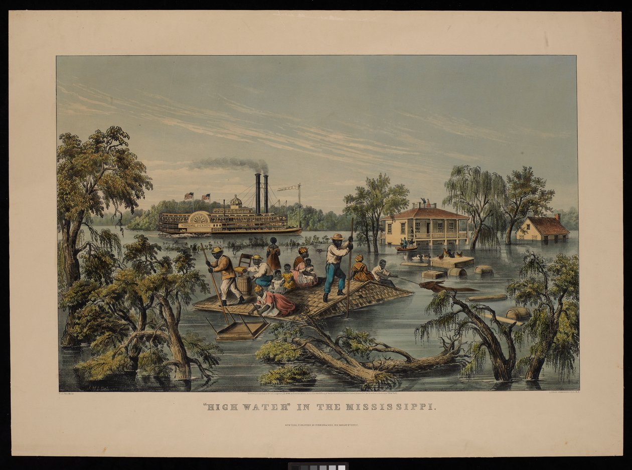 Högt vattenstånd i Mississippi av Frances Flora Bond (c.1812 76) Palmer