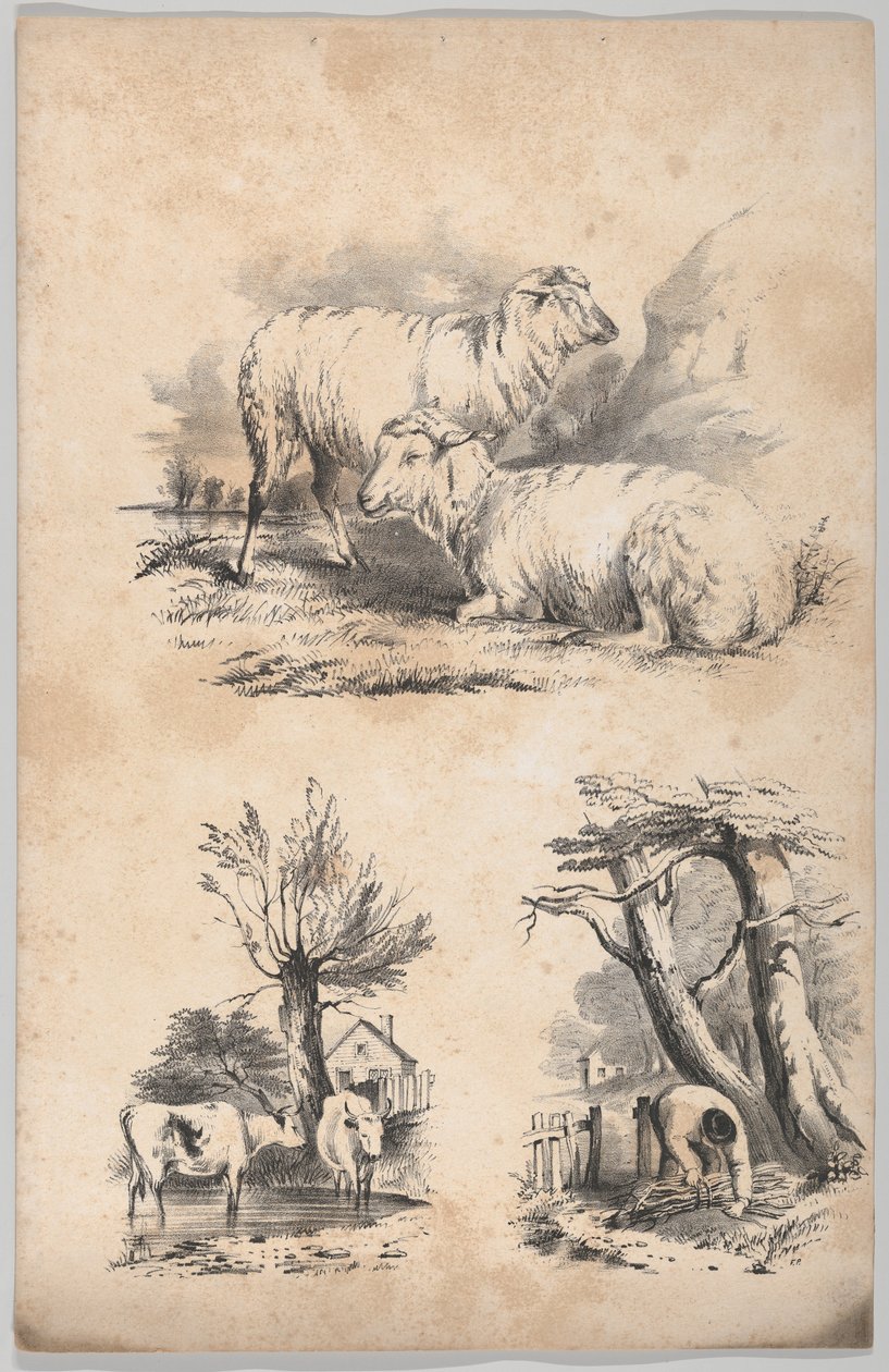 Vinjett med två får, vinjett med två kor i en pool och vinjett av en vedsamlare..., 1847. av Frances Flora Bond Palmer