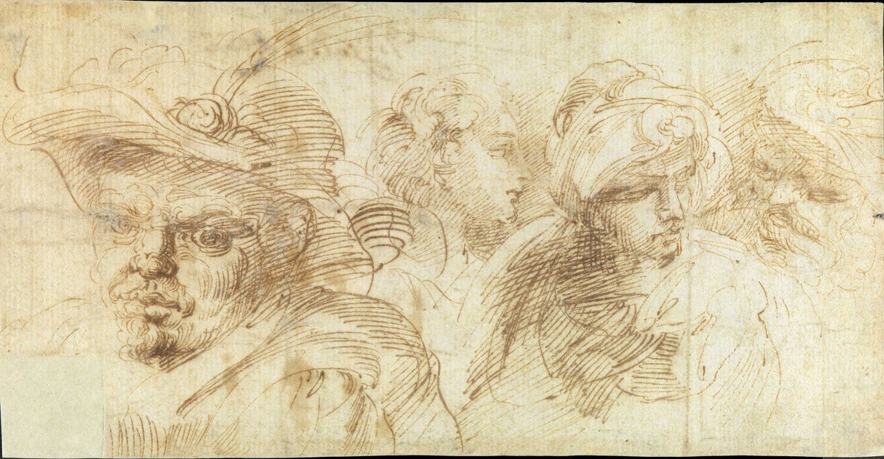 Studies of heads av Francesco Brizio