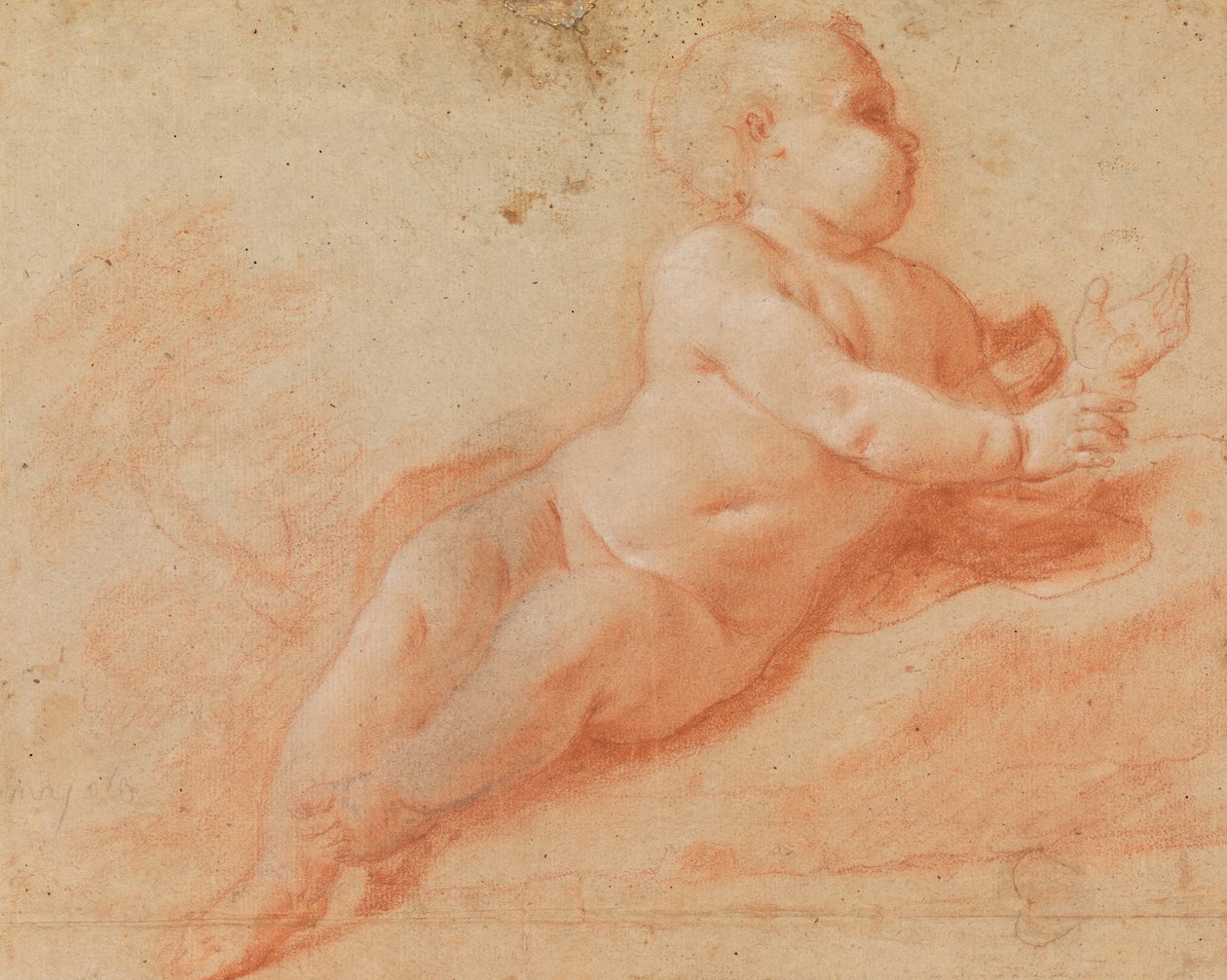 Studie av ett nakenbarn av Francesco Saverio Mergolo