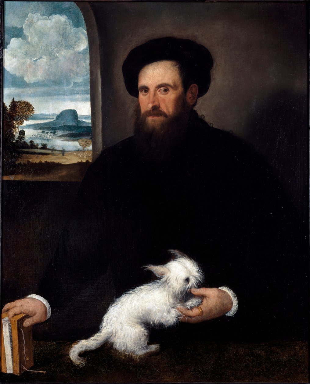 Porträtt av gentlemannen med den lilla hunden Målning av Francesco Beccaruzzi (ca 1492-1563) 1540 ca. Mått 101x84 cm Milano, Civic Collections of the Sforzesco Castle av Francesco Beccaruzzi