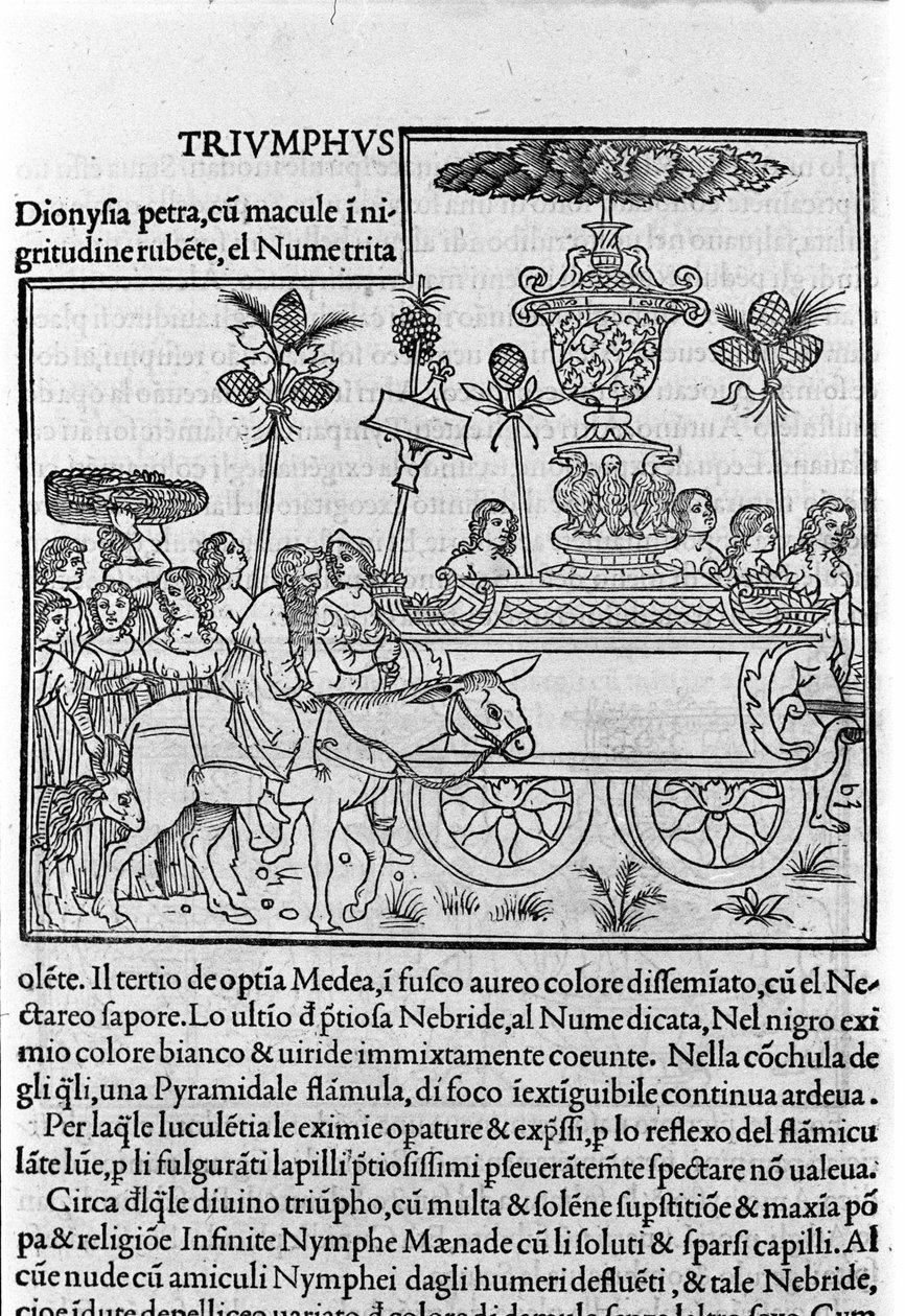 Gravyr i "Hypnerotomachia Polyphili" (drömmen om Poliphila) av den dominikanska munken Francesco Colonna, Venedig av Francesco Colonna