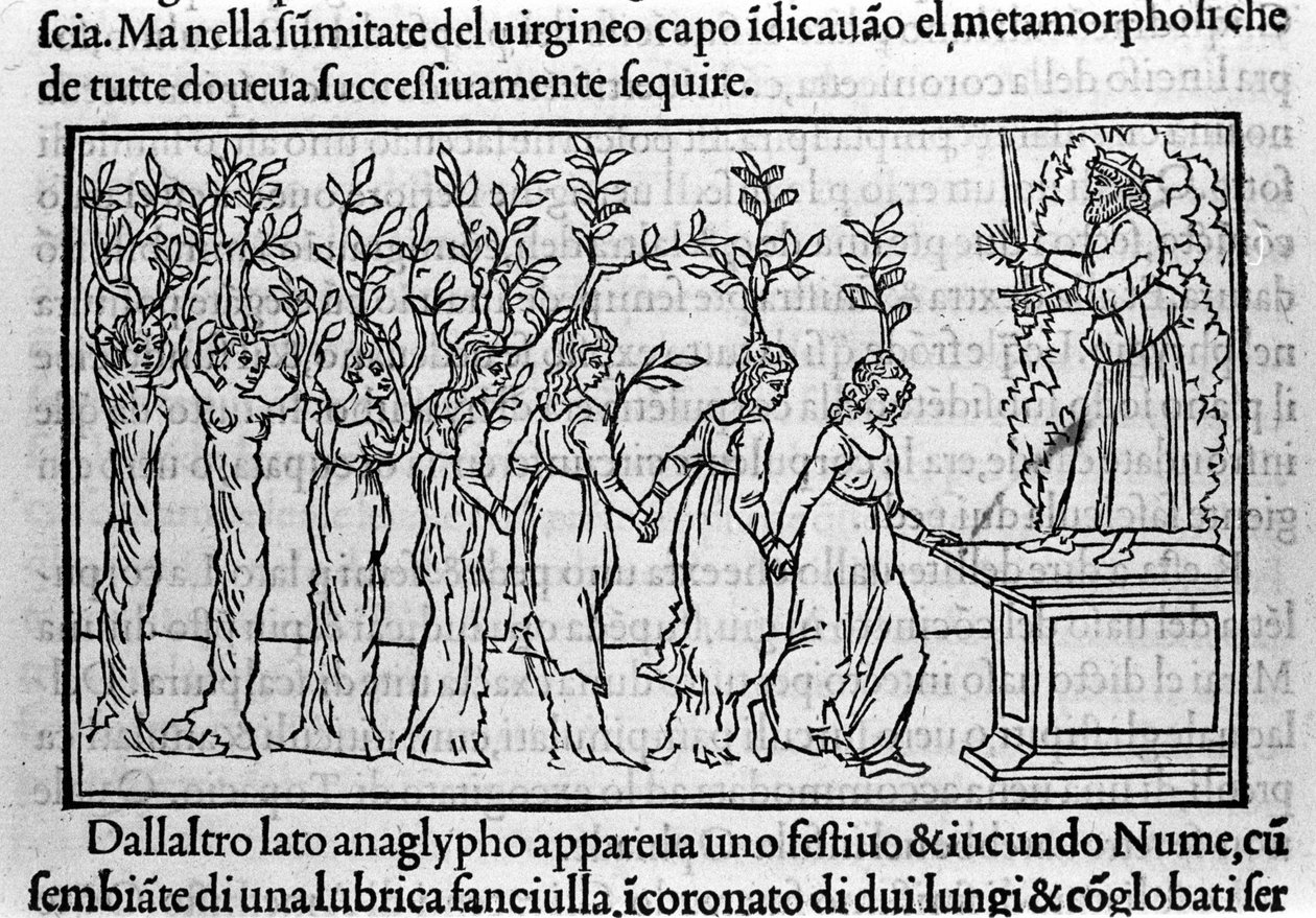 Gravyr i "Hypnerotomachia Polyphili" (drömmen om Poliphila) av den dominikanska munken Francesco Colonna, Venedig av Francesco Colonna