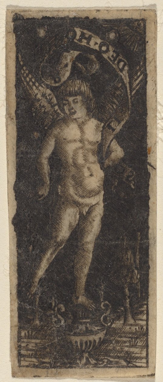 Kerub på en vas med inskription: "SOLI DEO HONOR" av Francesco Francia or Peregrino da Cesena
