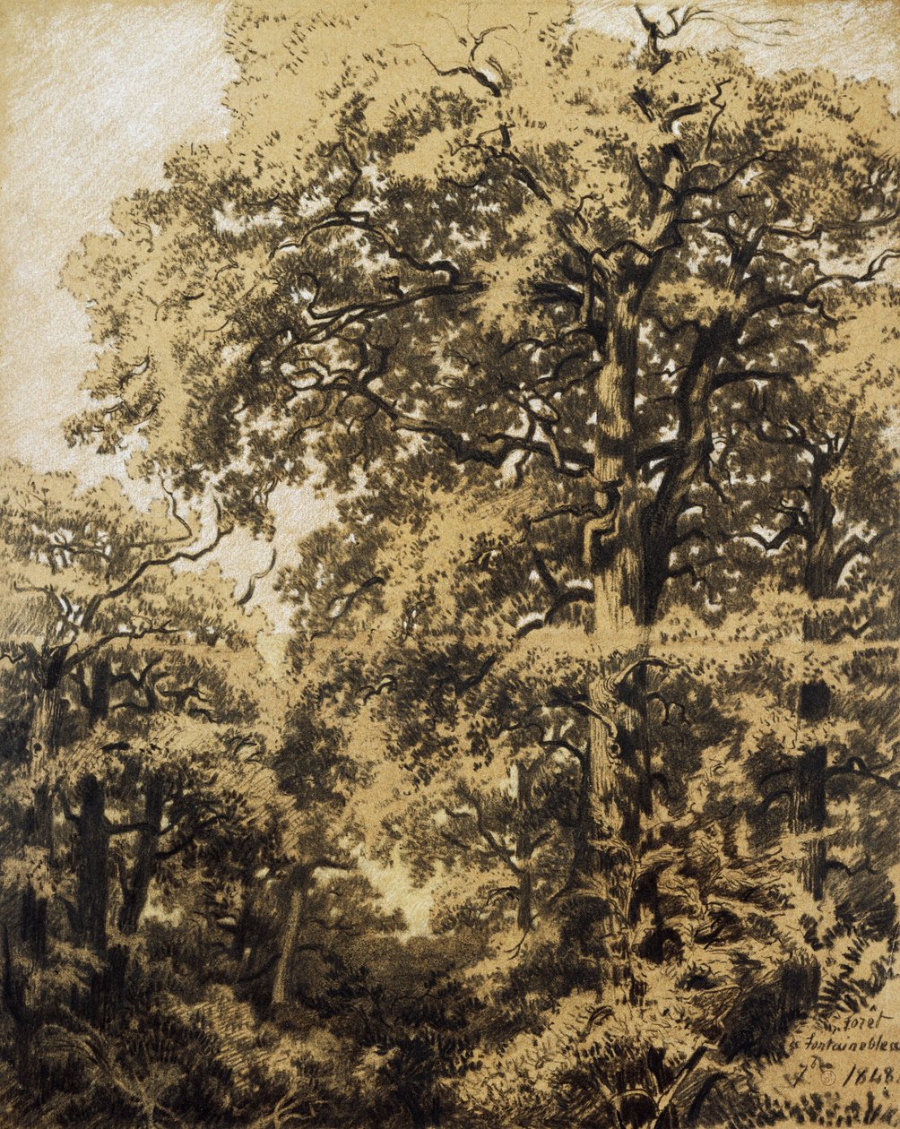 Forest of Fontainebleau av Francesco Gamba
