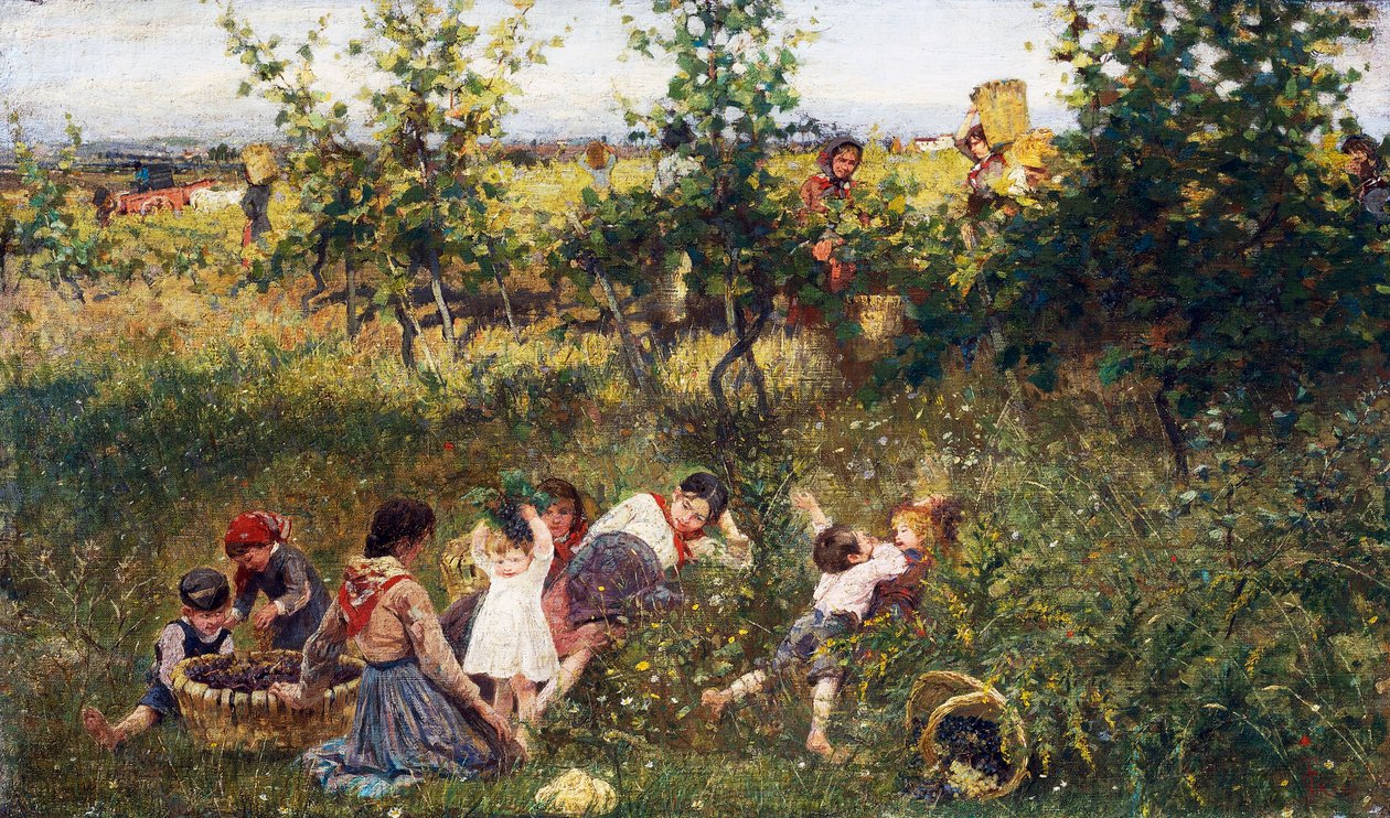 Druvskörd, Målning av Francesco Gioli (1846-1922), Olja på duk, 39, 5x66 cm av Francesco Gioli