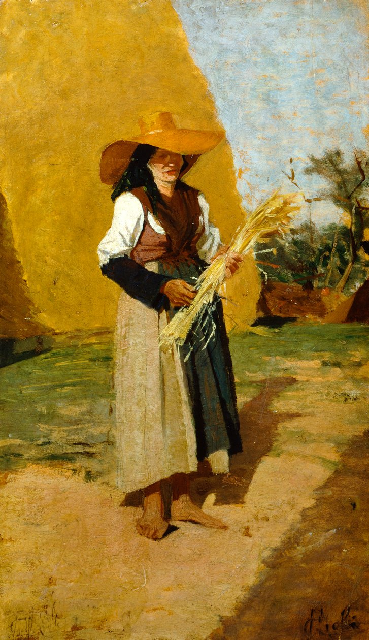Studie för Gleaner (kvinnlig fälthand) av Francesco Gioli (1846-1922), olja på panel, 32x19 cm av Francesco Gioli
