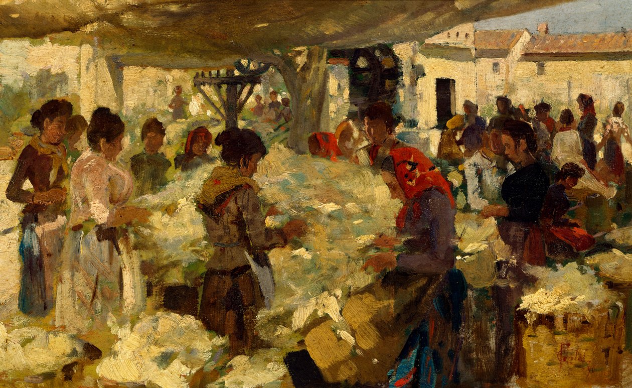 Ullförsäljare av Francesco Gioli