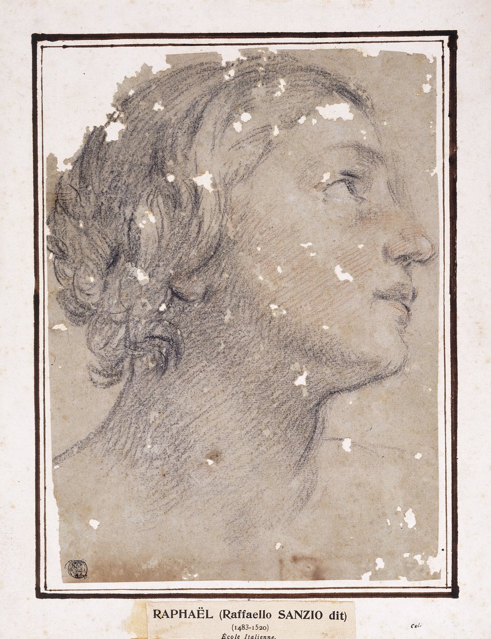 En kvinnas huvud, i profil till höger, av Francesco Giovanni Gessi