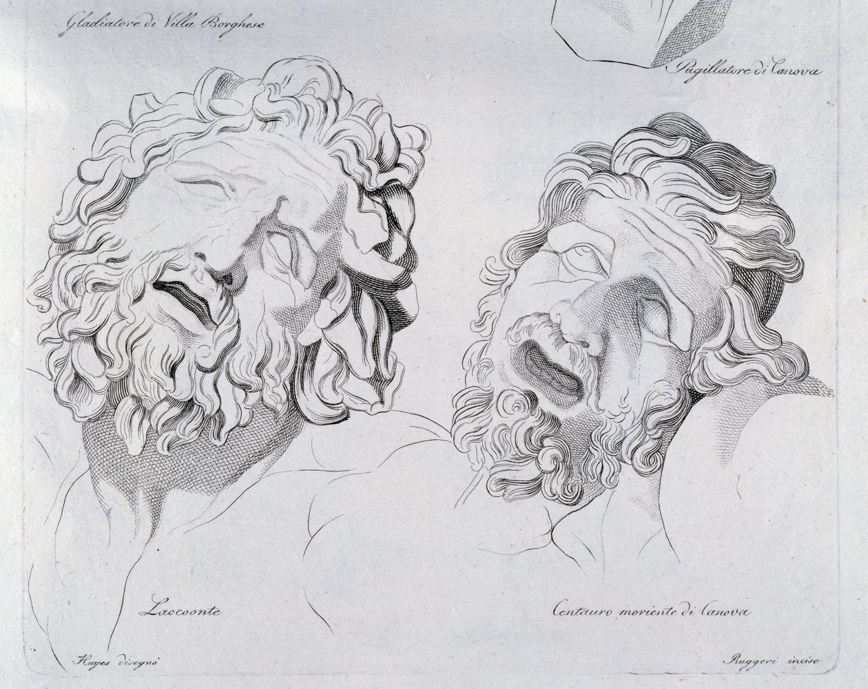 Heads of Laocoon och Centaur moriente av Canova av Francesco Hayez