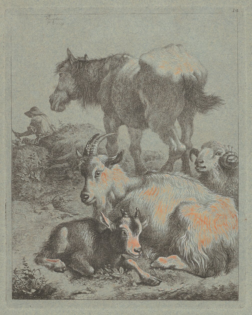 Häst, bagge, get med unge, i fjärran en herde med flock, 1759. av Francesco Londonio