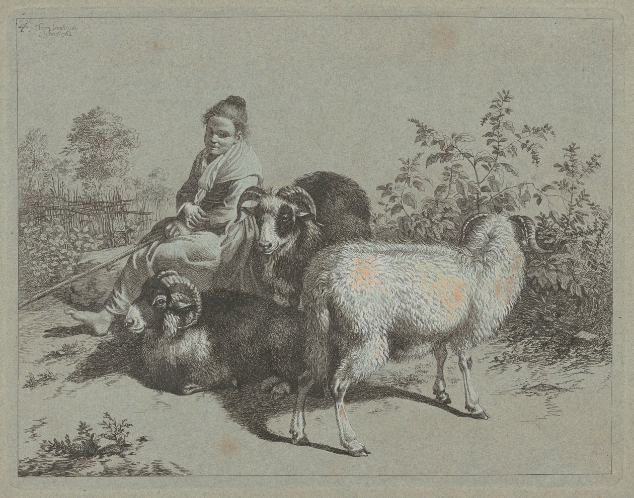 Sittande herdinna med tre baggar, 1762. av Francesco Londonio