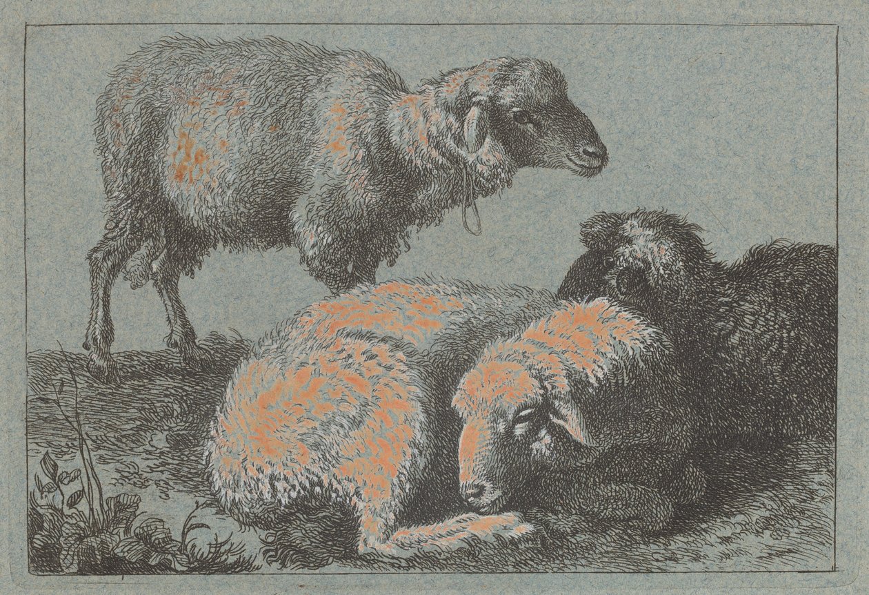 Två liggande får och ett stående får, 17571758. av Francesco Londonio