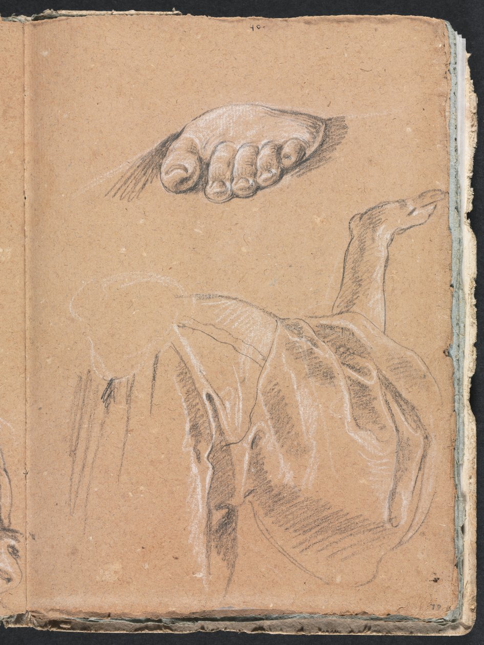 Verona Skissbok: Studie av en vänster fot och draperistudie med höger arm sida 79, 1760. av Francesco Lorenzi