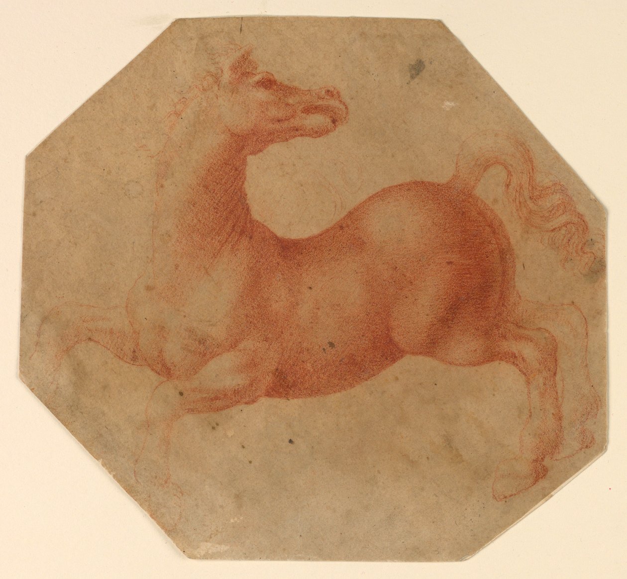 Studie av en uppfödande häst efter Leonardo da Vinci av Francesco Melzi