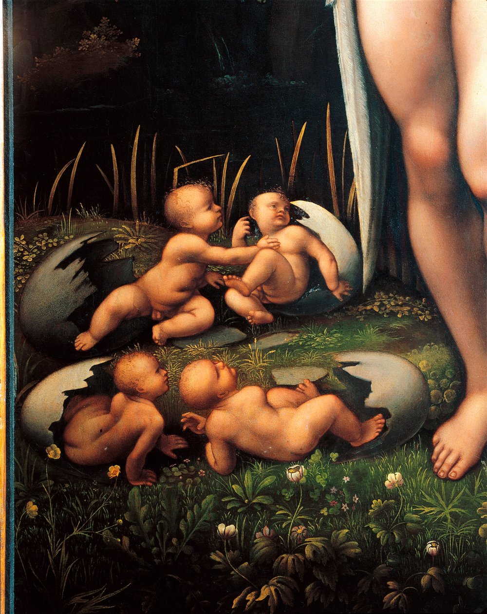 Leda och svanen (detalj) av Francesco Melzi or Melzo