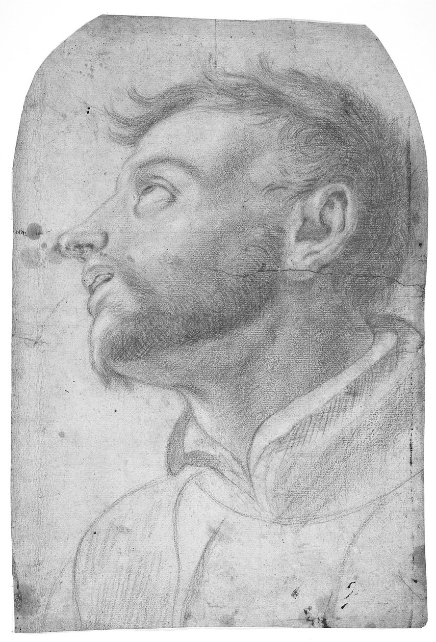 Huvudet på en man som blickar uppåt av Francesco Solimena