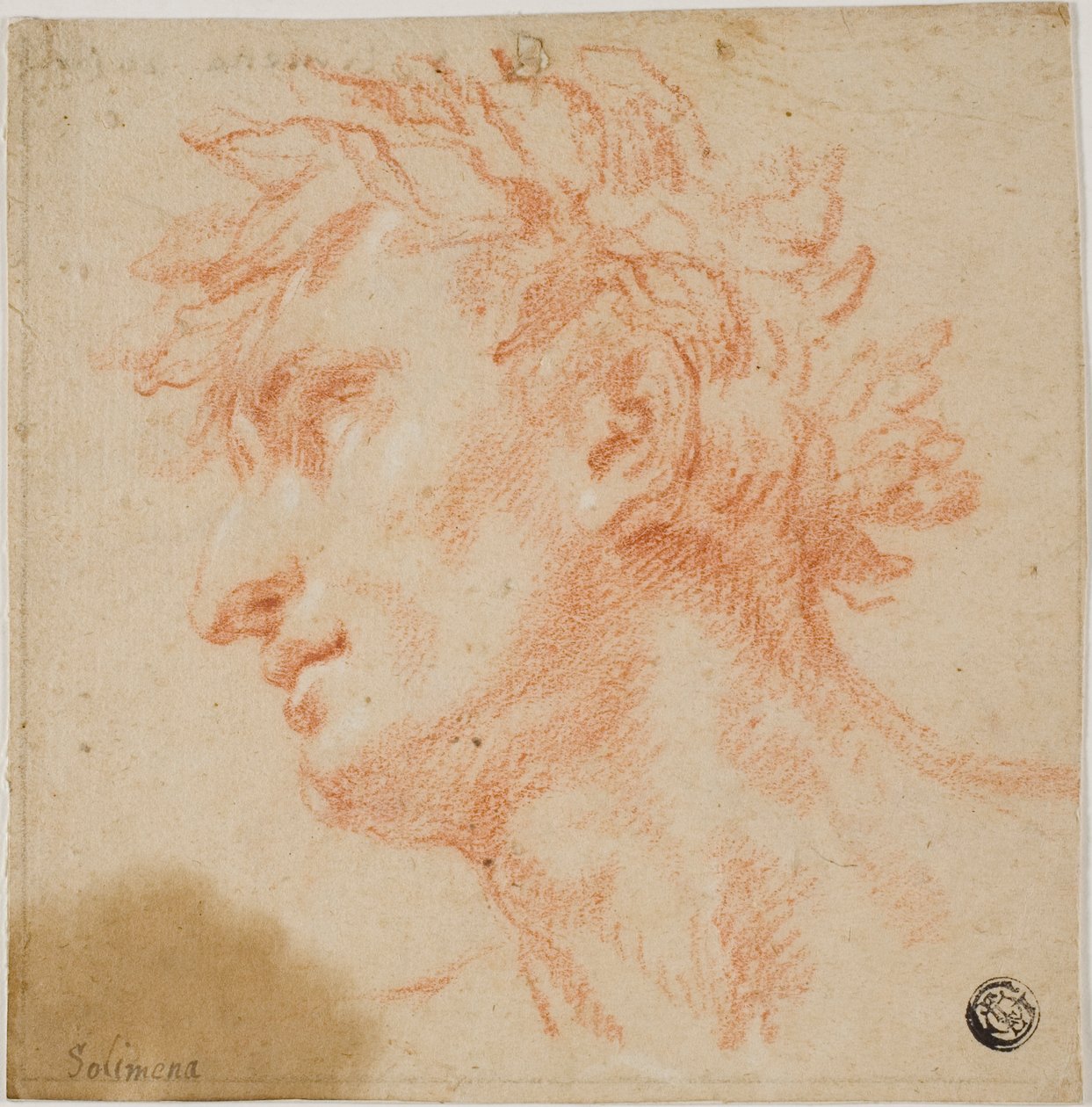 Profil av manshuvud, krönt med lagerblad av Francesco Solimena