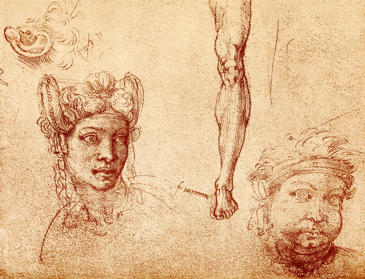 Huvud- och benstudier av Francesco Ubertini Bacchiacca