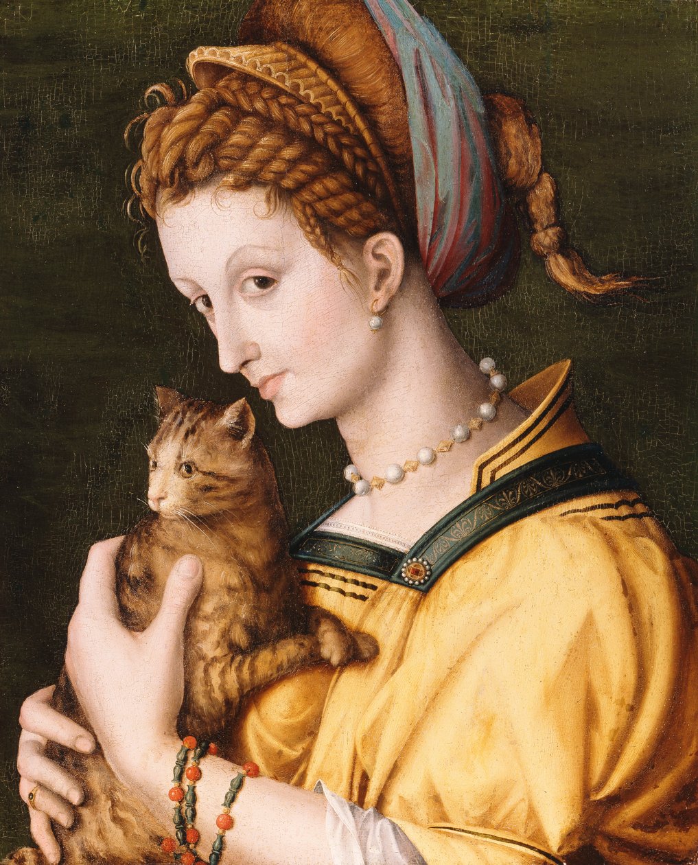 Dam med en katt, ca 1525-30 av Francesco Ubertini Bacchiacca