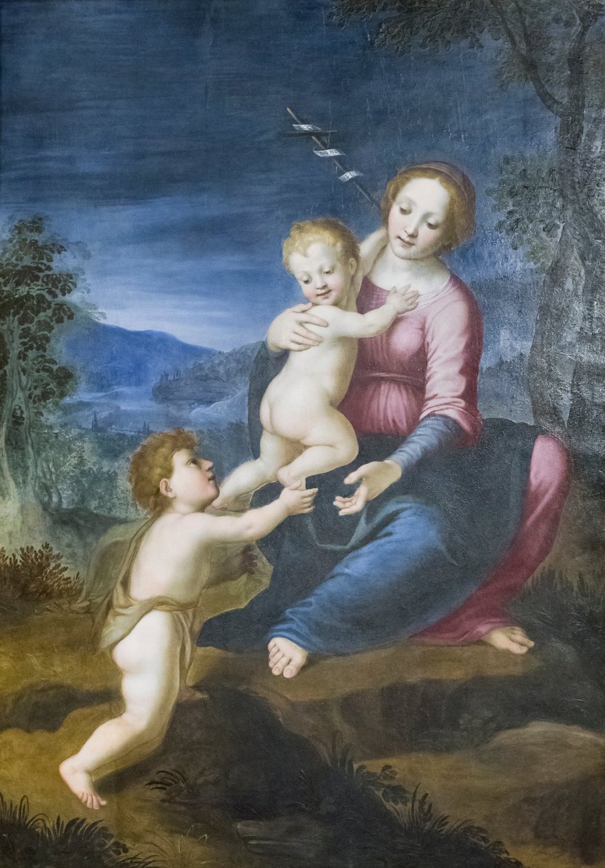 Jungfrun med Jesus och Johannes Döparen av Francesco di Cristofano Franciabigio