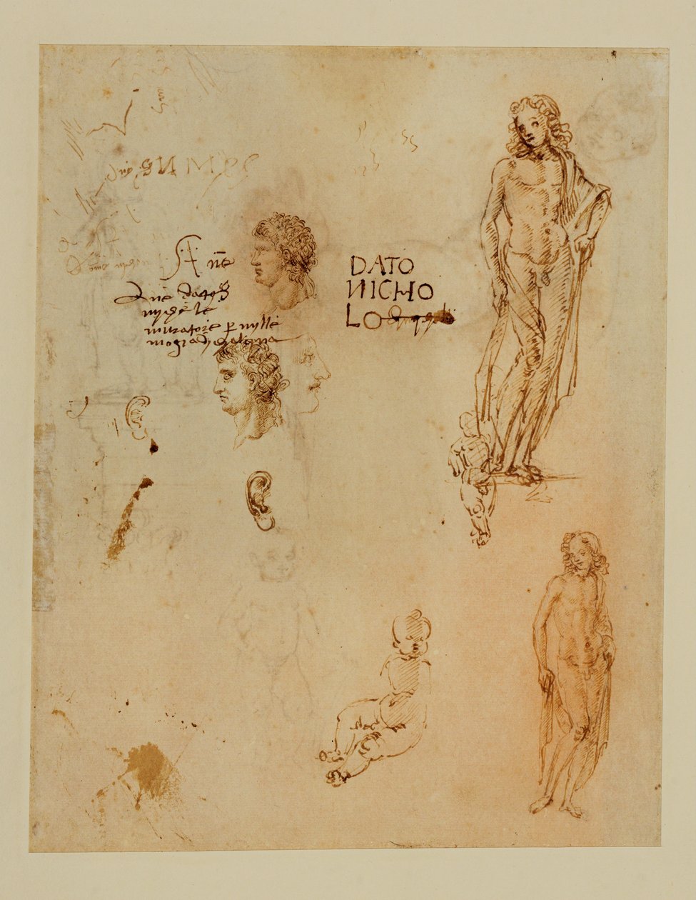 Tre profiler;öron;två Apollon ... av Francesco di Simone (attr. to)