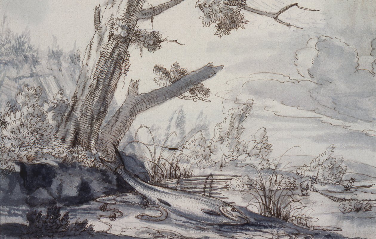 Partridges na Snipe, karne ya 17 (kuchora)swed av Francis Barlow