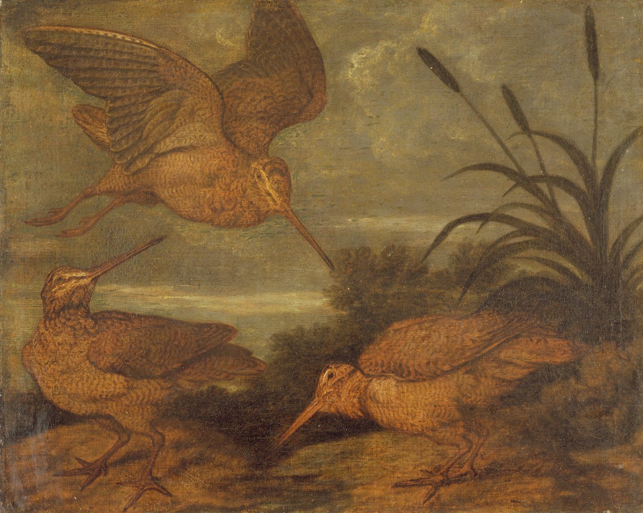 Snäppa i skymningen, ca 1676 av Francis Barlow