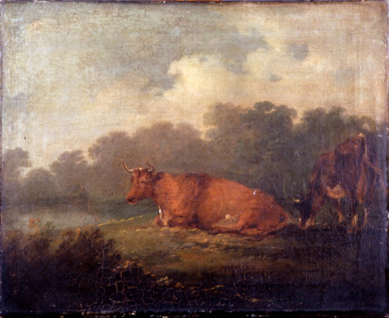Landscape with Cattle A Cow Resting  av Francis Bourgeois