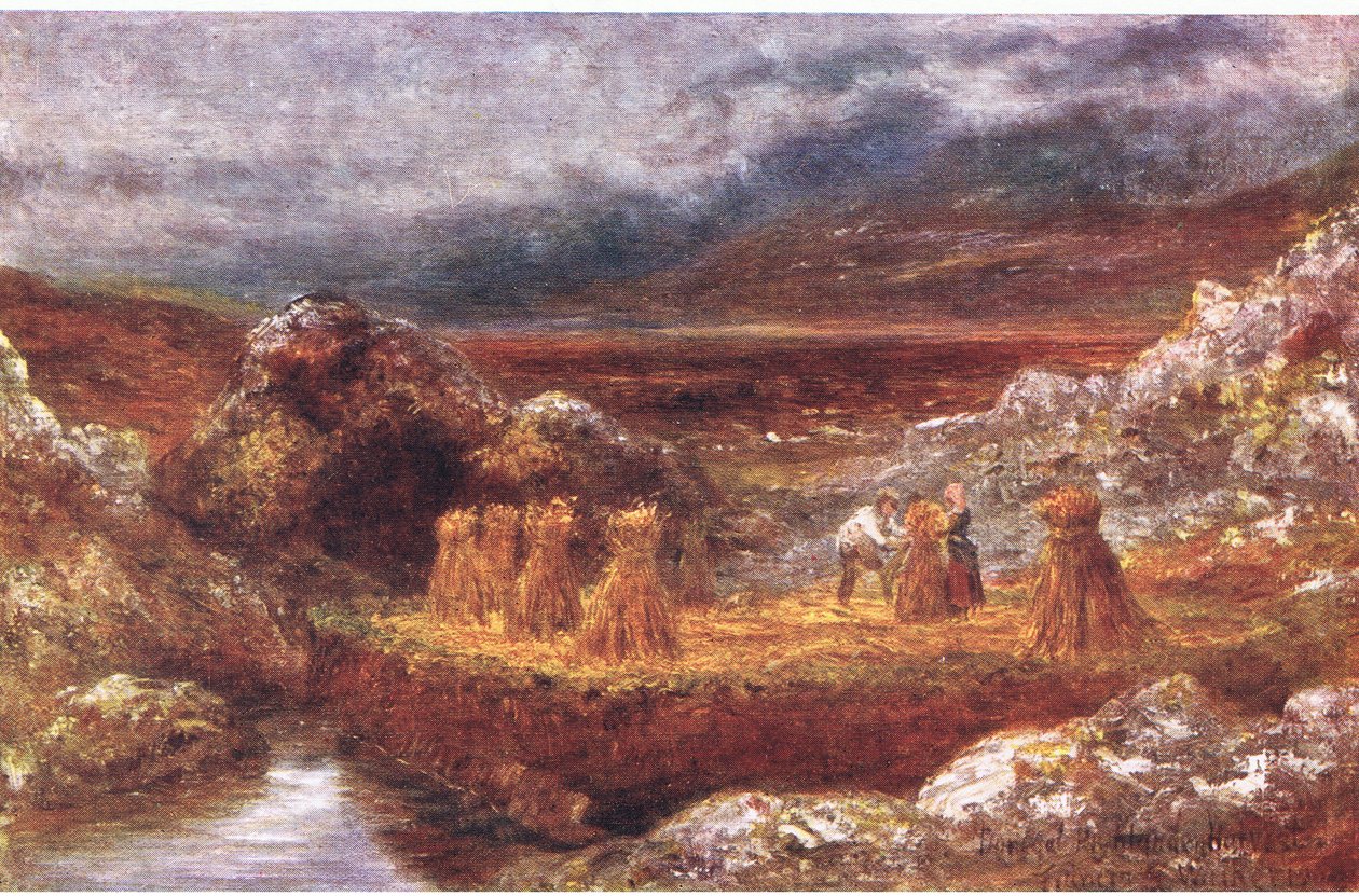 A Donegal harvest, från Peeps at Many Lands: Ireland publicerad av Adams & Charles, 1909 av Francis S. Walker