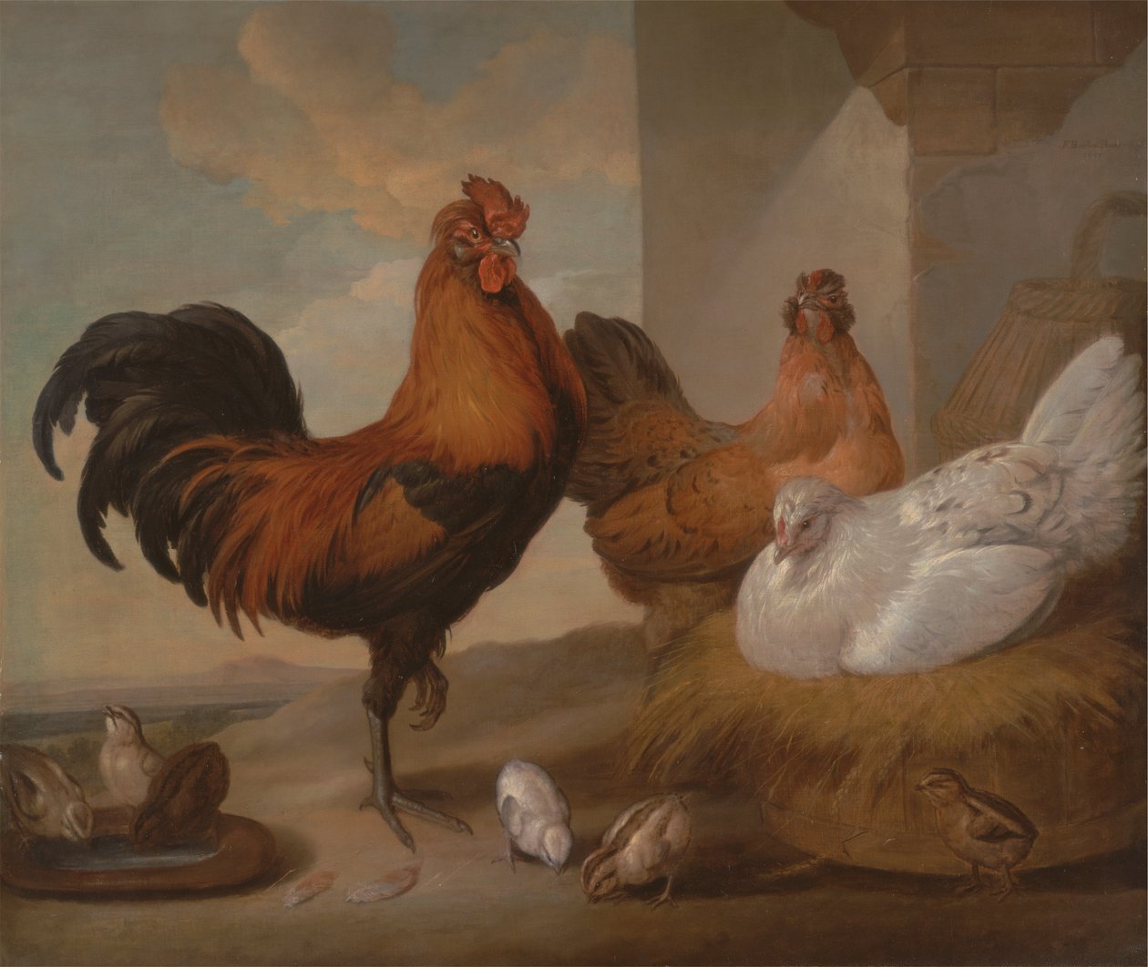 Tamtupp, höns och kycklingar av Francis Barlow