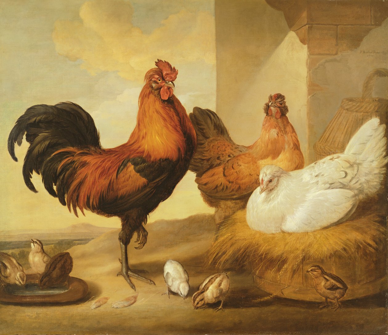 Tamtupp, höns och kycklingar, 1655 av Francis Barlow