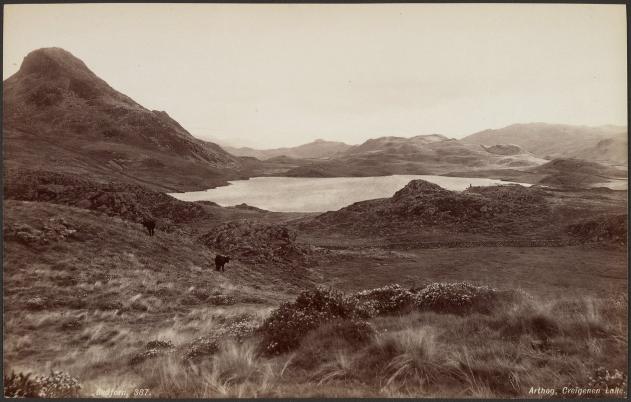 Arthog, Creigene Lake av Francis Bedford