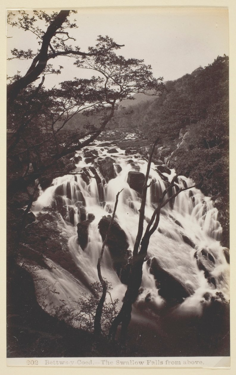 Bettw-s-y Coed, Svalan faller från ovan av Francis Bedford
