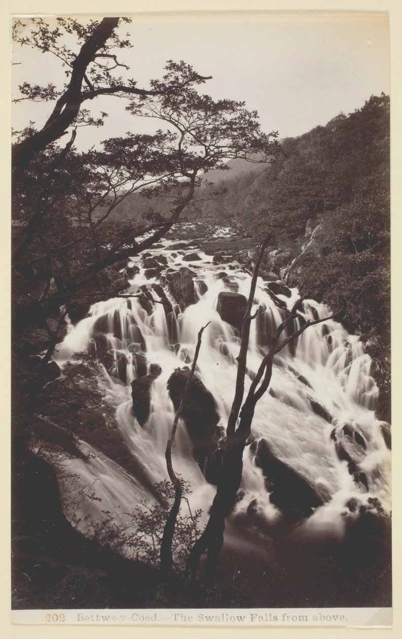 Bettws-y Coed, Svalan faller från ovan, 186094. av Francis Bedford