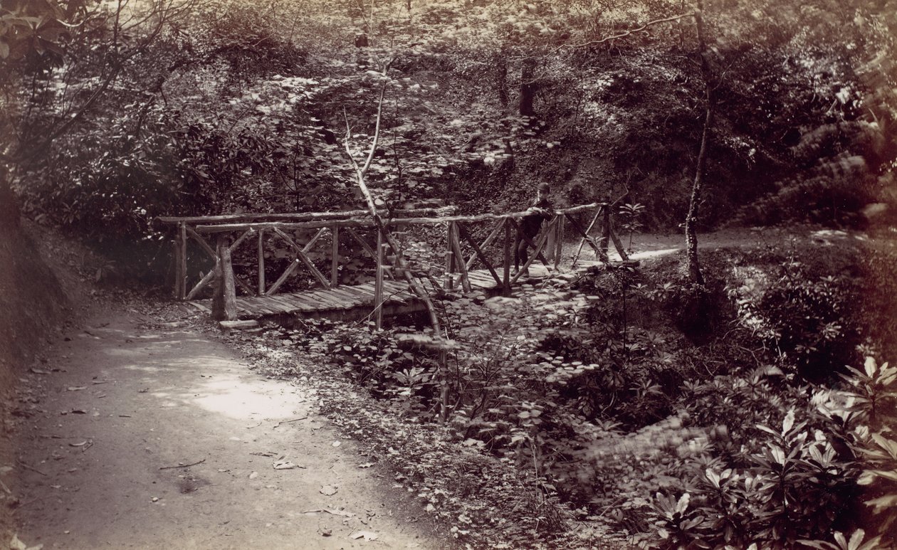 Colwyn Bay. Rustik bro i skogen, 1870-talet. av Francis Bedford