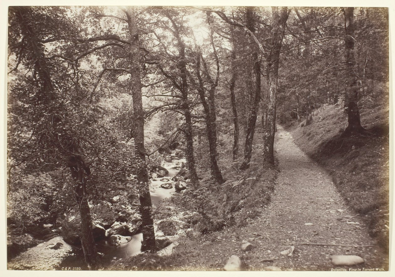 Dolgelley, View in Torrent Walk, 186094. av Francis Bedford