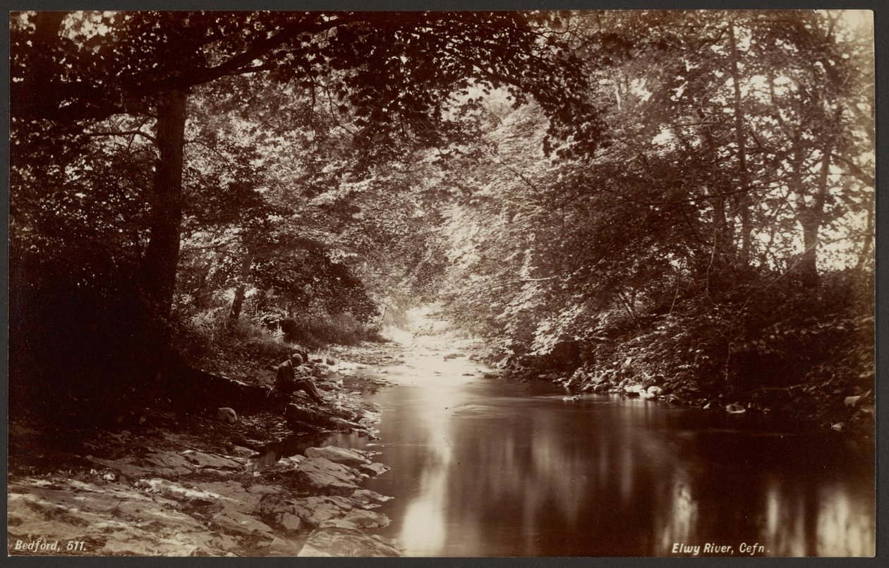 Elwyfloden, Cefn av Francis Bedford