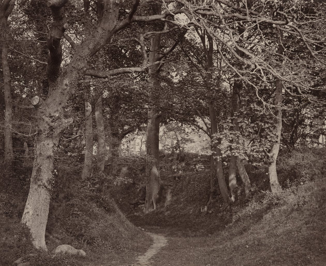 Glen Kenilworth,ca. 1868 (foto) av Francis Bedford