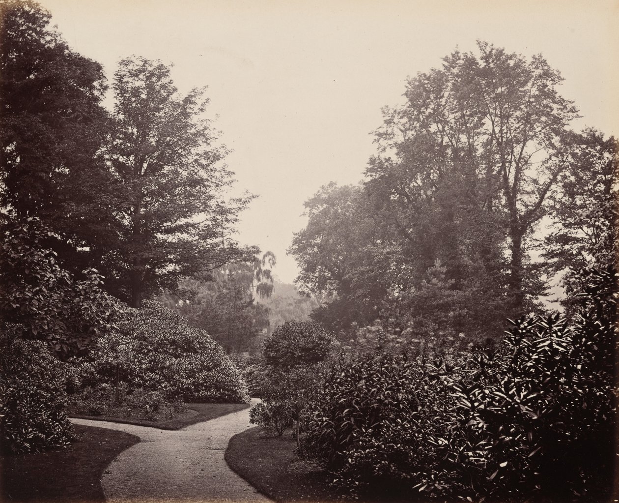 Gångväg i Alexandra Park,ca. 1863 (foto) av Francis Bedford