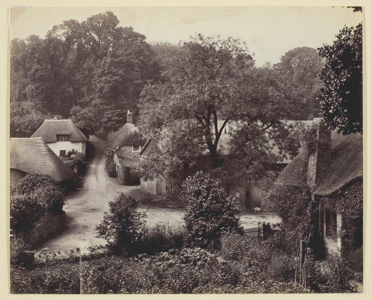 Utan titel [halmtaksstugor], 186094. av Francis Bedford
