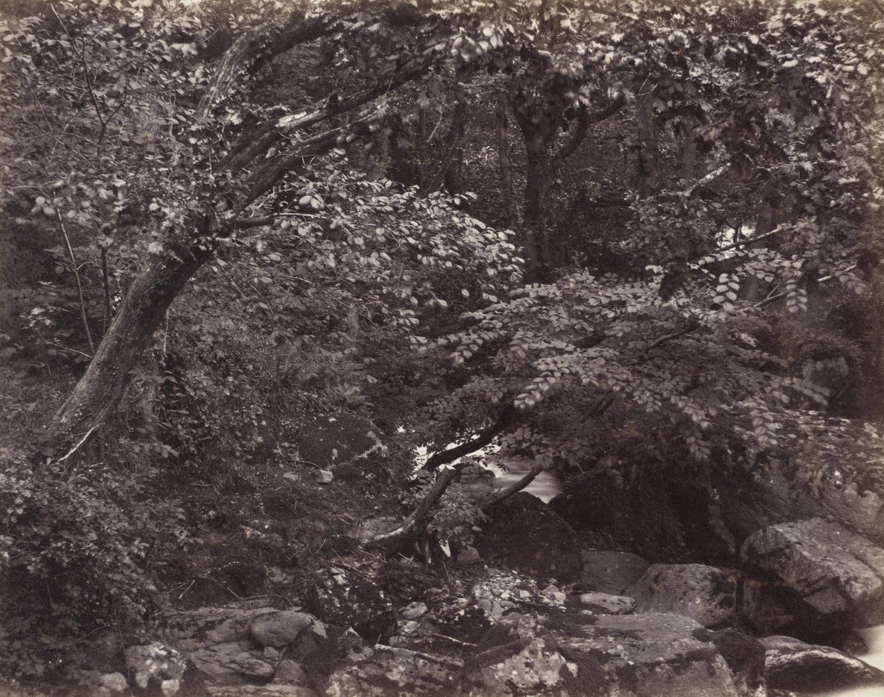Glen vid Lynmouth av Francis Bedford, Francis Frith