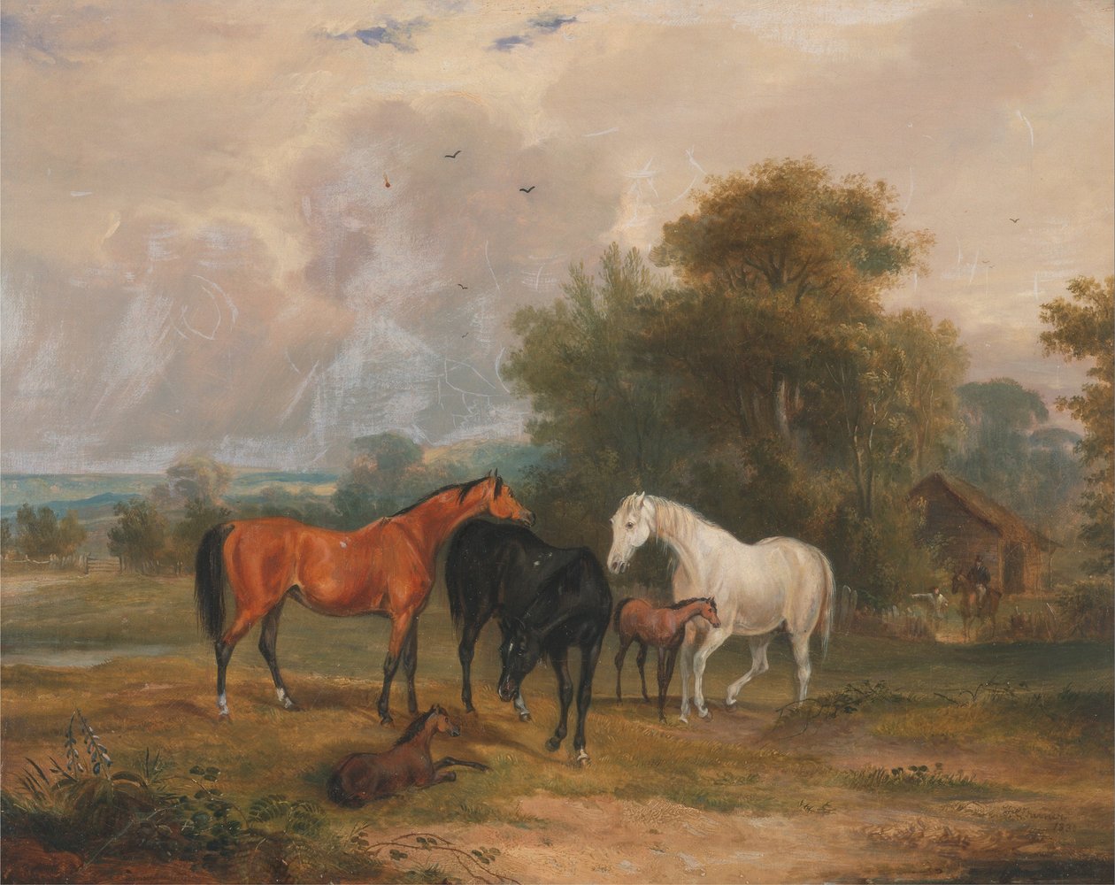 Hästar på bete: Ston och föl på ett fält av Francis Calcraft Turner