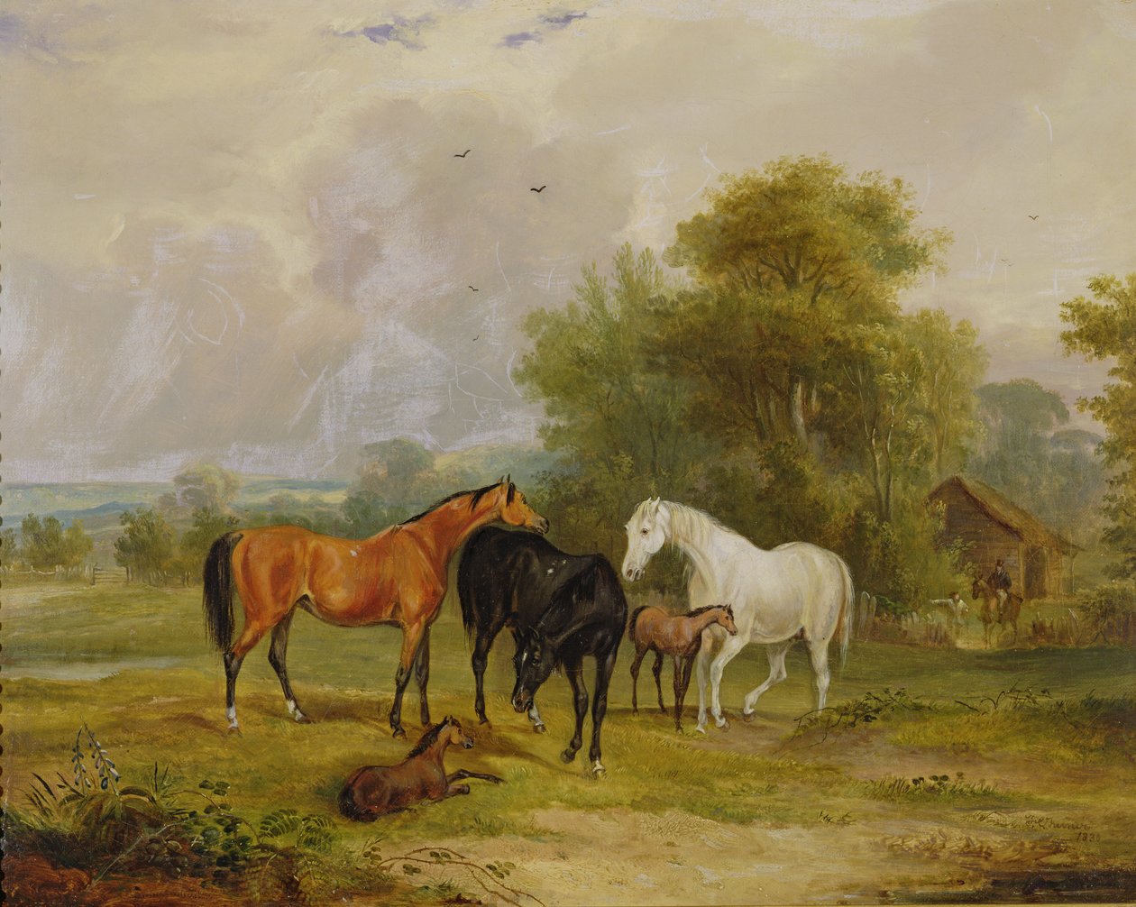 Heste, der græsser: Hopper og føl på en mark swed av Francis Calcraft Turner